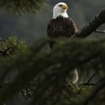 whatsapp image 2025 07 12 at 11.17.53 a4dd05f4