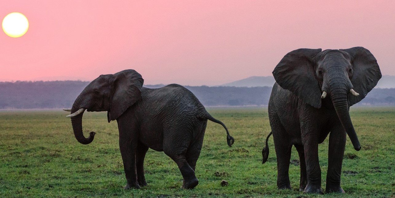 mylon ollila j4ocwyap cs unsplash