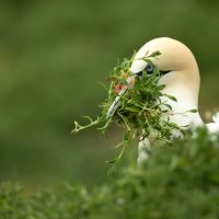 Wildlife Photography in Bangalore